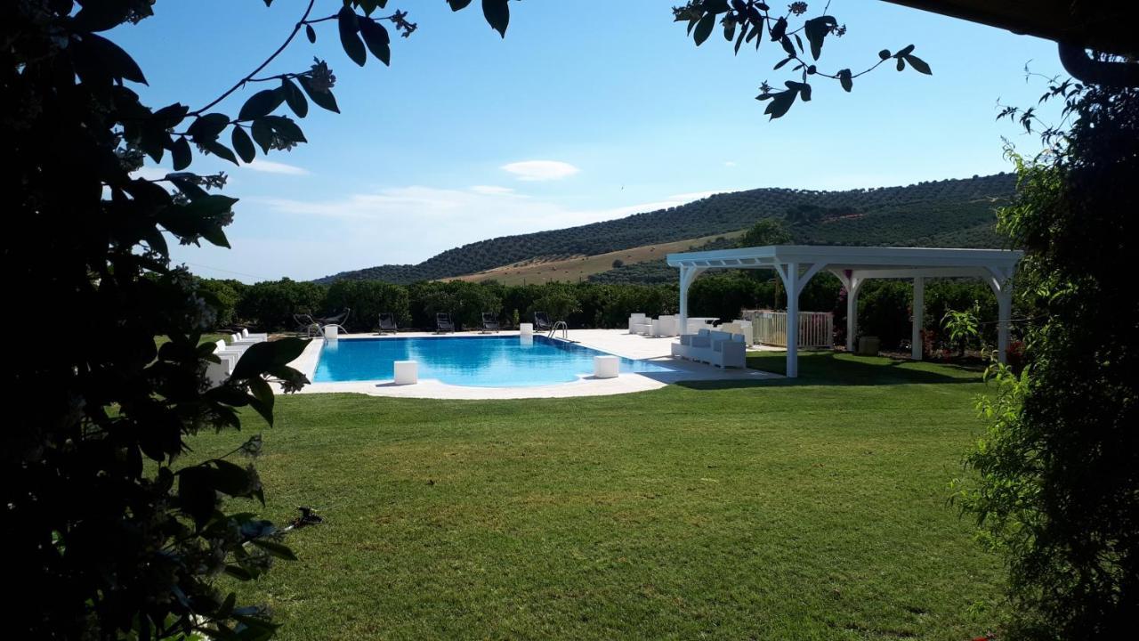 Agriturismo Trappeto Vecchio San Demetrio Corone المظهر الخارجي الصورة
