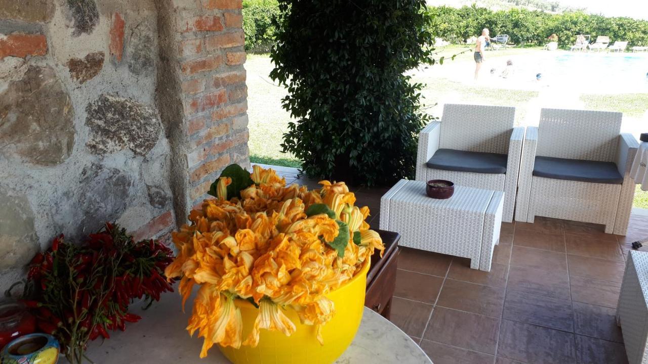 Agriturismo Trappeto Vecchio San Demetrio Corone المظهر الخارجي الصورة