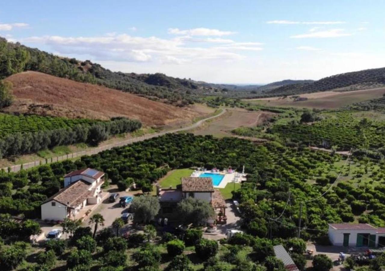 Agriturismo Trappeto Vecchio San Demetrio Corone المظهر الخارجي الصورة