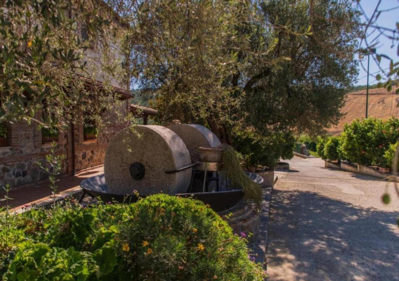 Agriturismo Trappeto Vecchio San Demetrio Corone المظهر الخارجي الصورة