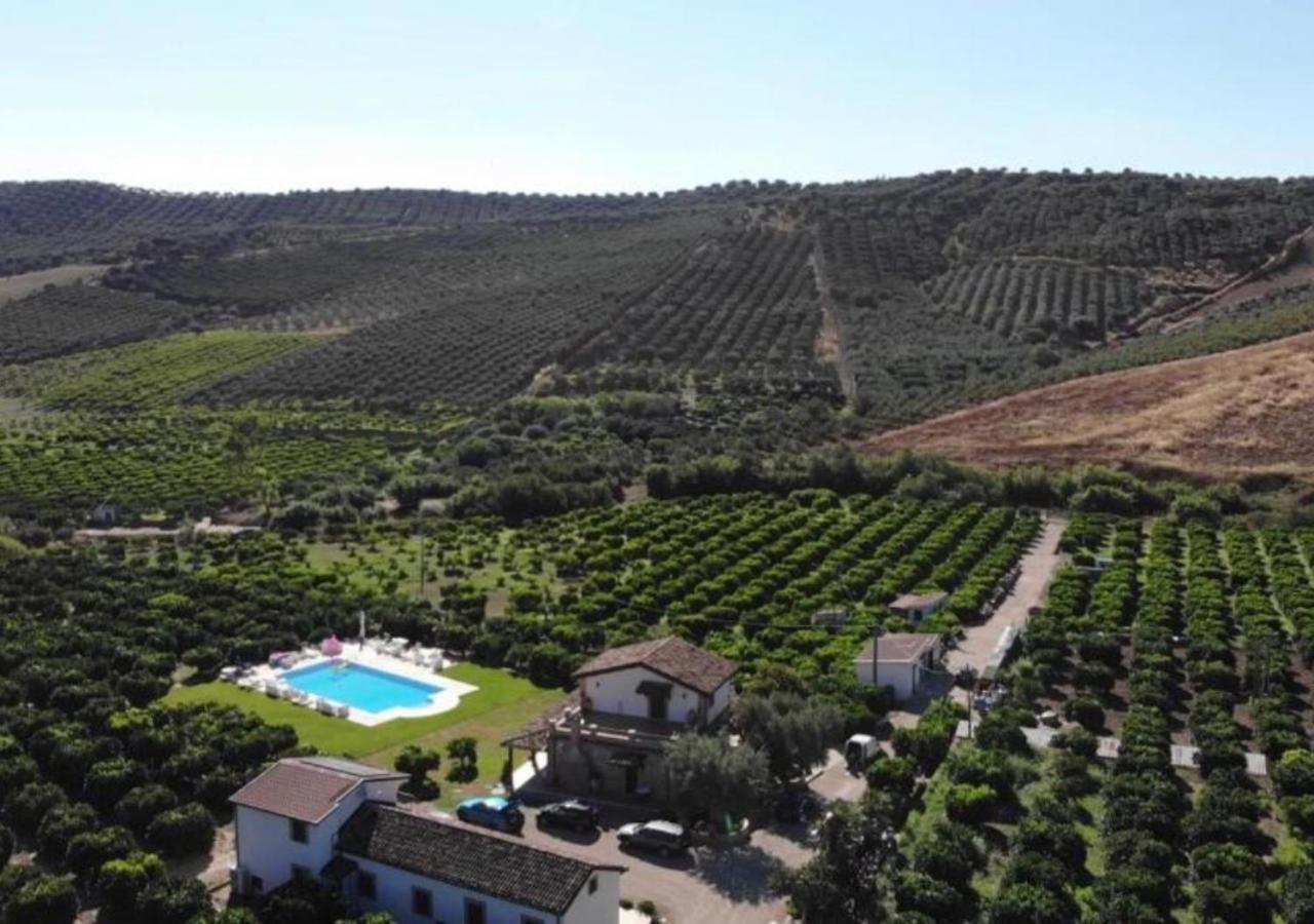 Agriturismo Trappeto Vecchio San Demetrio Corone المظهر الخارجي الصورة