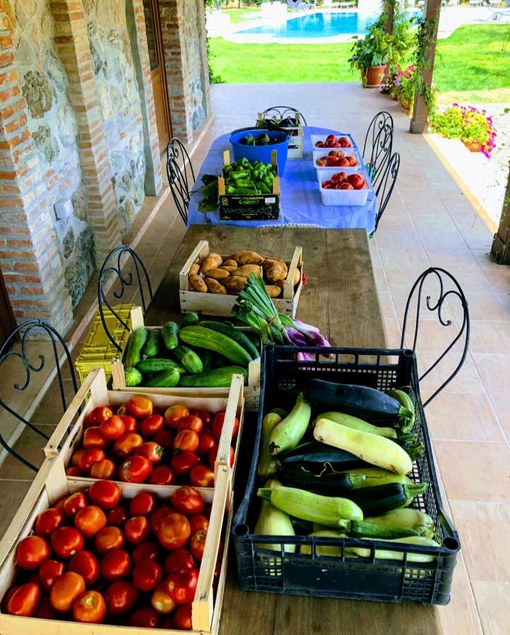 Agriturismo Trappeto Vecchio San Demetrio Corone المظهر الخارجي الصورة